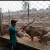 ramanjan
