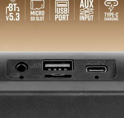 Zebronics Zeb Vita 201 16W Bluetooth Speaker