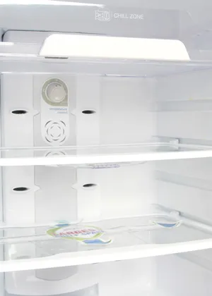 Godrej RT EON 240 P 2.3 240 L Double Door Refrigerator