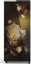 Whirlpool 230 IMPRO GD PRM 3S 207 L 3 Star Single Door Refrigerator