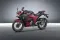 Suzuki Gixxer SF 250 Flex Fuel