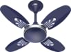MinMAX Senorita 600 mm 4 Blade Ceiling Fan
