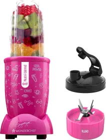 Wonderchef Nutri Blend GO 400W Mixer Grinder