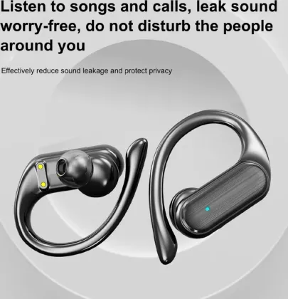 Life Like Earhook True Wireless Earbuds