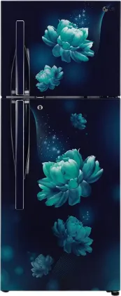 LG GL-T292RBCY 260 L 2 Star Double Door Refrigerator