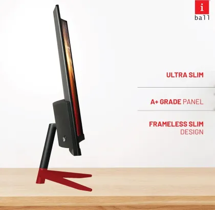 iball Bird iC24 23.6 inch Full HD Monitor