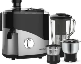 Maharaja Whiteline Odacio Desire 550W Juicer Mixer Grinder