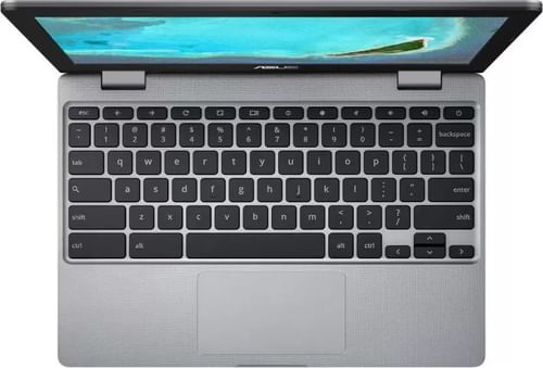 Asus Chromebooks C223NA-GJ0074 Laptop