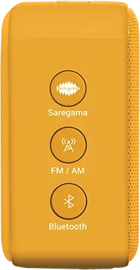 Saregama Carvaan Mini The Art of Living 5W Portable Speaker