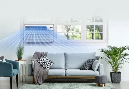LG LW1516ER 15000 BTU 115V Window AC