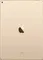 Apple iPad 9.7 2017 (WiFi+4G+32GB)