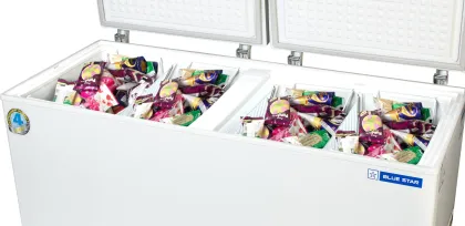 Blue Star CHFDD300MGPW 301 L Double Door Deep Freezer