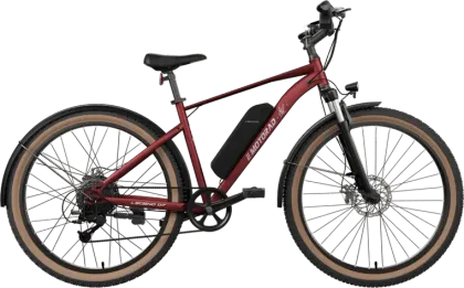 EMotorad Legend 07 Electric Cycle