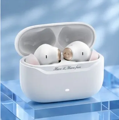 Havit TW991 Pro True Wireless Earbuds