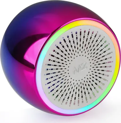 MZ S10 5W Bluetooth Speaker