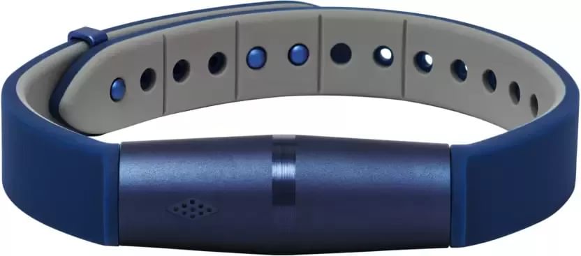 q motion fossil