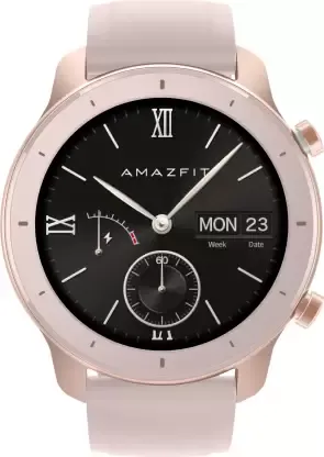 Huami Amazfit GTR 42 mm Smartwatch