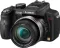 Panasonic Lumix DMC-FZ100 Digital Camera