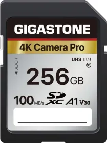 Gigastone Camera Pro 256GB SDXC UHS-1 Memory Card