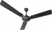 Activa Corolla 1200 mm 3 Blades Ceiling Fan