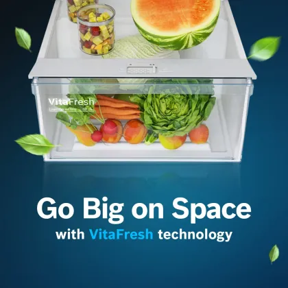 Bosch CTC39S22VI 368 L 2 Star Double Door Refrigerator
