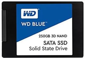 WD Blue 3D WDS250G2B0A 250 GB Internal Solid State Drive