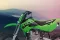 Kawasaki KX65