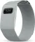 Pebble Qore View Smart Band