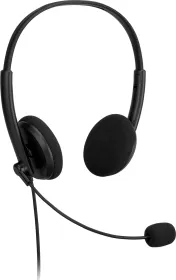 Asus EH100 Wired Headphones