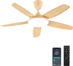 Oltao Pine 50 inch 5 Blade BLDC Ceiling Fan