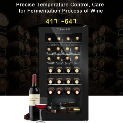 LEONARD LE-USA-95WC 82 L Glass Door Mini Refrigerator