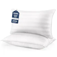 Queen Bed Pillows