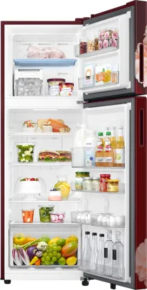 Samsung RT40H30U2BR 256 L 2 Star Double Door Refrigerator