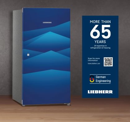 Liebherr Dbl 2240 205 L 4 Star Single Door Refrigerator