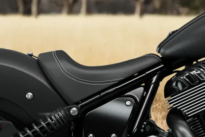 Indian Chief Dark Horse