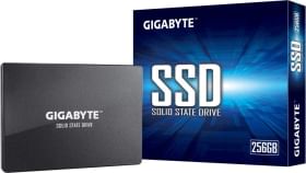 Gigabyte GP-GSTFS31256GTND 256GB Internal Solid State Drive
