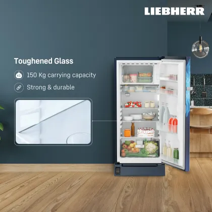 Liebherr DFBlmD 1925 191 L 4 Star Single Door Refrigerator