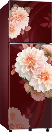 Samsung RT40H30U2BR 256 L 2 Star Double Door Refrigerator