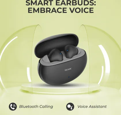 TecSox Ace 251 True Wireless Earbuds