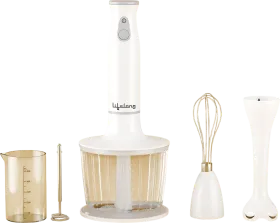 Lifelong LLHBZ07 450W Hand Blender