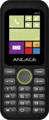 ANGAGE A313