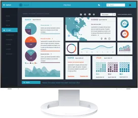 Eizo EV2495 24.1 inch Full HD Monitor
