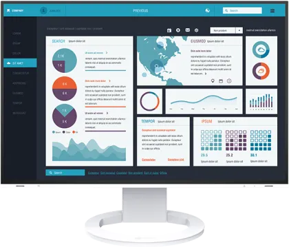 Eizo EV2495 24.1 inch Full HD Monitor