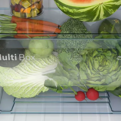 Bosch CST20B34AI 207 L 4 Star Single Door Refrigerator