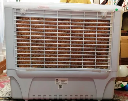 RR Calidfloe 50 L Window Air Cooler