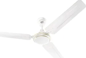 Eveready FAB 1200 mm 3 Blade Ceiling Fan