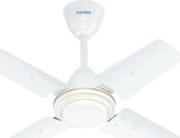 Candes Tinny 600 mm 4 Blades Ceiling Fan (Glossy Brown)