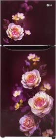 LG GL-N292DSBY 242 L 2 Star Double Door Refrigerator