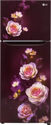 LG GL-N292DSBY 242 L 2 Star Double Door Refrigerator