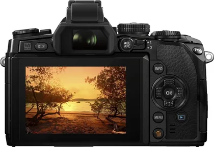 Olympus OM-D E-M1 Mirrorless Camera (M.Zuiko Digital 12-50mm)